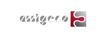 LOGO ASSIGECO SRL